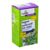 Luxan Greenfix Zero 500ml Glyfosaatvrij Concentraat - Onkruid En Aanslag -Tuinartikelen Winkel luxan greenfix zero 500ml glyfosaatvrij concentraat onkruid en aanslag 1