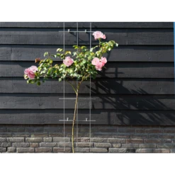 Nature - Metalen Klimrek Geplastificeerd Grijs H145x42,5cm -Tuinartikelen Winkel nature metalen klimrek geplastificeerd grijs h145x42 5cm 3 2