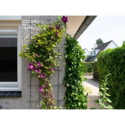 Nature - Metalen Klimrek Geplastificeerd Groen H145x57cm -Tuinartikelen Winkel nature metalen klimrek geplastificeerd groen h145x57cm 3 2