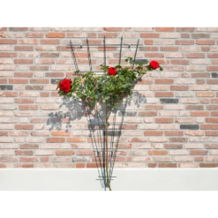 Nature - Metalen Klimrekv Geplastificeerd Groen H145x5/75cm -Tuinartikelen Winkel nature metalen klimrekv geplastificeerd groen h145x5 75cm 3 2