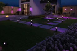 Calex Smart Outdoor Classic Wandlamp RGB CCT - 4W 380lm -Tuinartikelen Winkel smart outdoor classic wandlamp rgb cct 4w 380lm 4