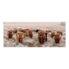 Tuinposter Longhorns - 110x45cm -Tuinartikelen Winkel tuinposter longhorns 110x45cm tuinposters 1