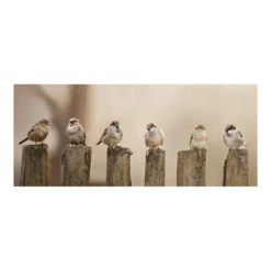 Tuinposter Musjes Op Palen - 110x45cm